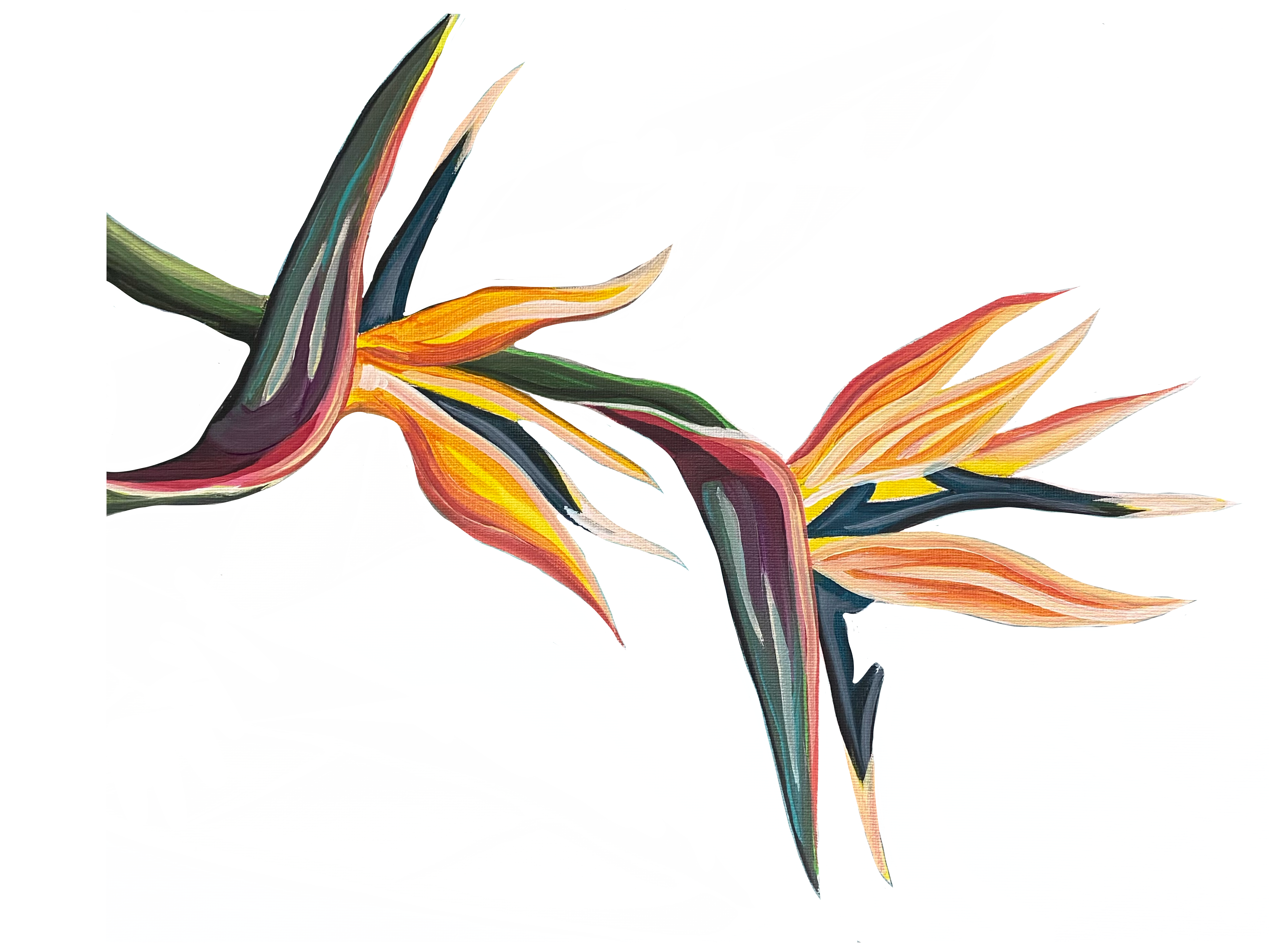 Bird of Paradise design