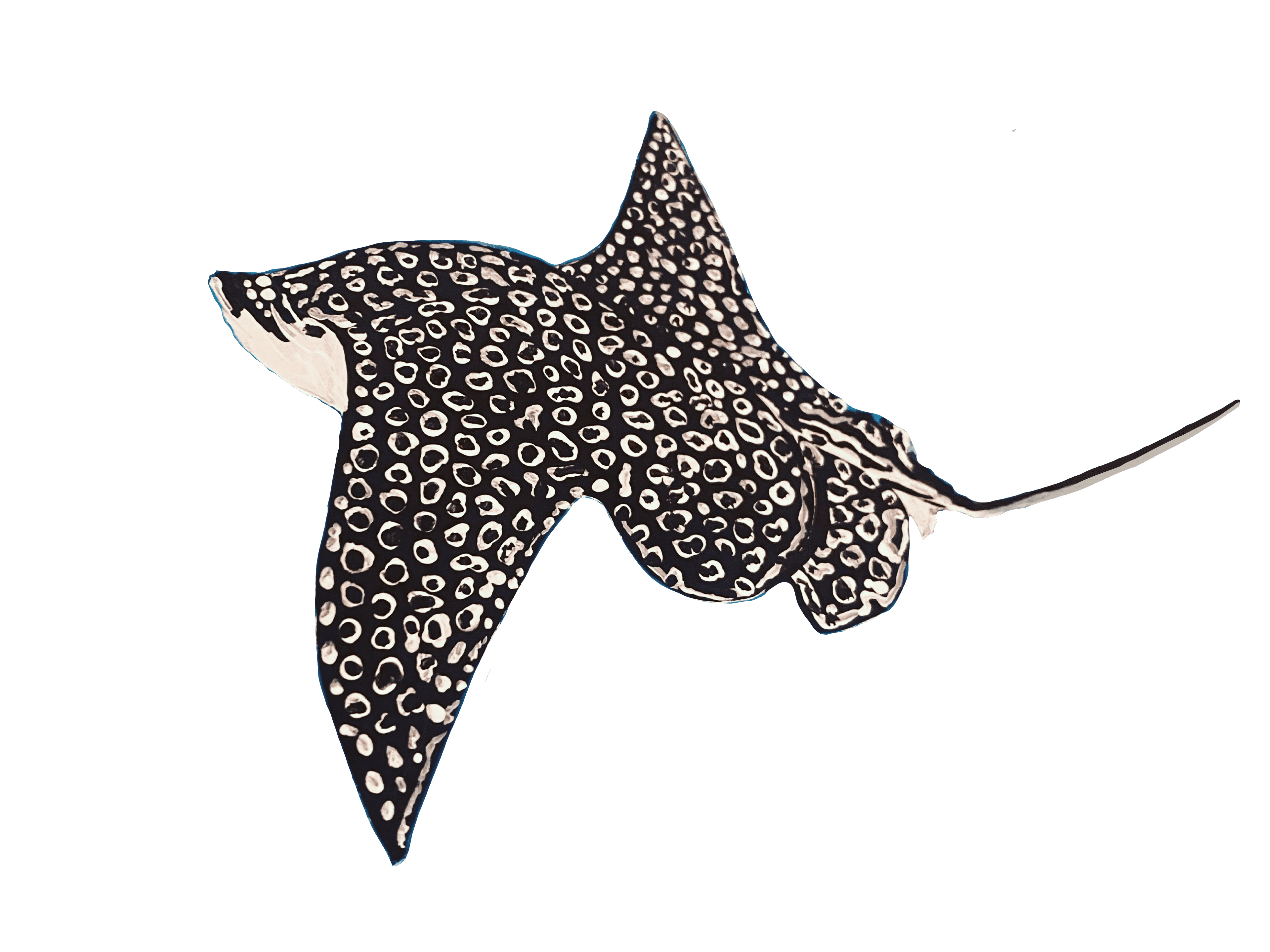 Eagle Ray design