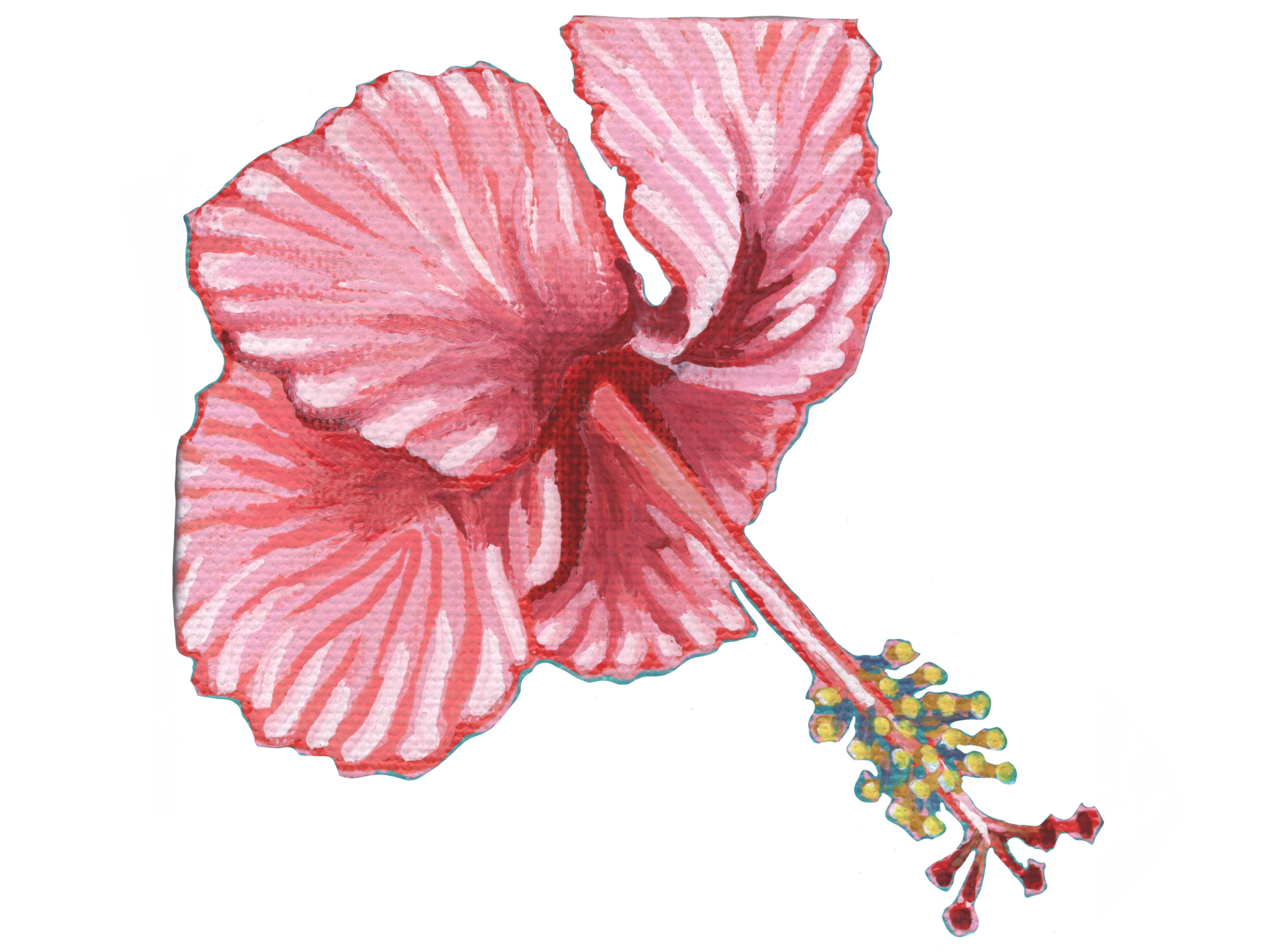 Hibiscus design