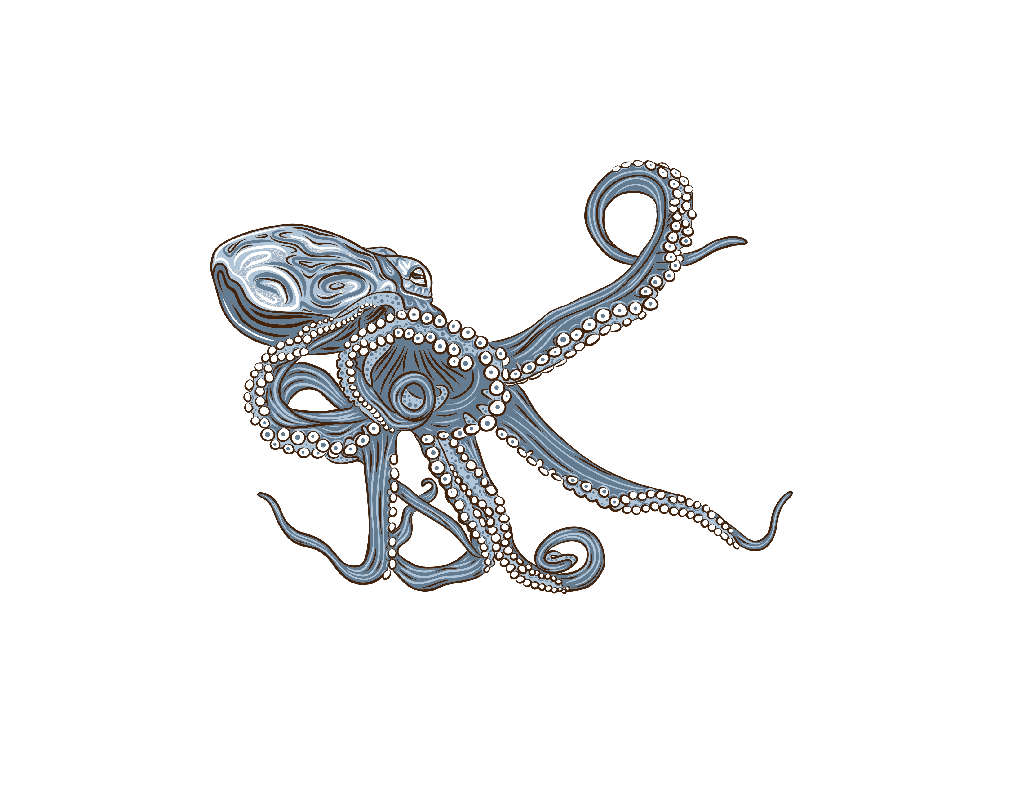 Octopus design